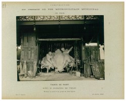 AD075PH_METR422.JPG